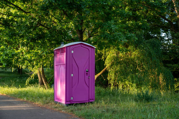 Portable Toilet Options We Offer in Roodhouse, IL
